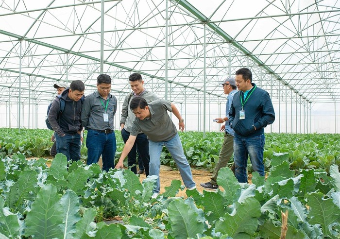 Các hộ nông dân tham quan và học tập tại nông trường VinEco