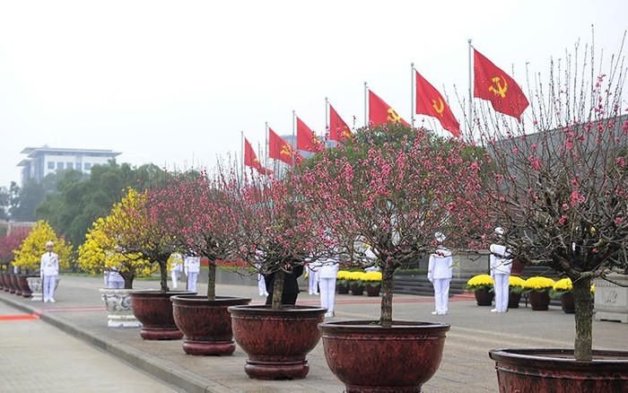 Hoa đào và hoa mai rực rỡ tại Quảng trường Ba Đình. Ảnh: ĐĂNG KHOA/ Nhandan.com.vn