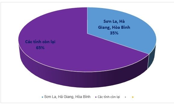 Số thí sinh đạt từ 27 điểm trở lên của Hà Giang, Sơn La, Hòa Bình trong kỳ thi Trung học phổ thông Quốc gia năm 2018 chiếm 35% cả nước. Ảnh: vtc.vn