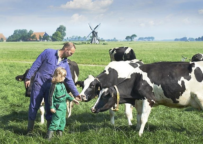 Cộng đồng nông dân nuôi bò sữa tại Hà Lan là một tập thể gắn bó và luôn đề cao giá trị gia đình