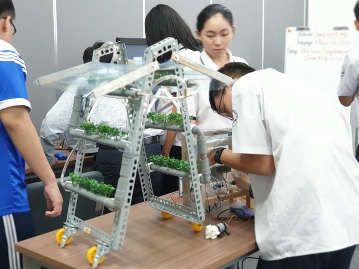 Hệ thống trồng cây thủy canh chữ A của Trường Trung học phổ thông Nguyễn Thượng Hiền – Hồ Chí Minh là một trong 20 dự án được lựa chọn vào vòng Chung kết