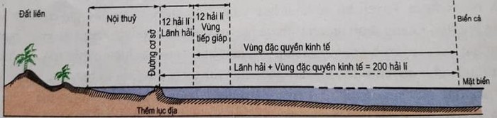Sơ đồ lát cắt khái quát các vùng biển Việt Nam-Hình 24.6 Sách giáo khoa Địa lý lớp 8, Nhà xuất bản Giáo dục Việt Nam