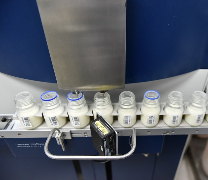Tỉ lệ tạp trùng càng thấp đồng nghĩa với chất lượng và độ tươi ngon của sữa càng cao