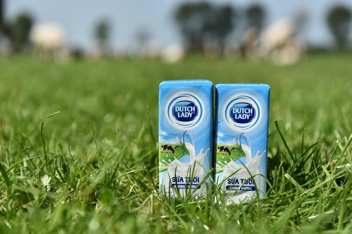 Nguồn sữa tươi nguyên liệu là yếu tố tiên quyết làm nên chất lượng sữa tươi Cô Gái Hà Lan
