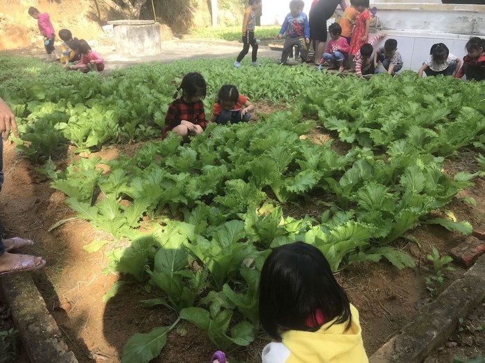 Học trò trải nghiệm chăm sóc vườn rau cùng cô giáo