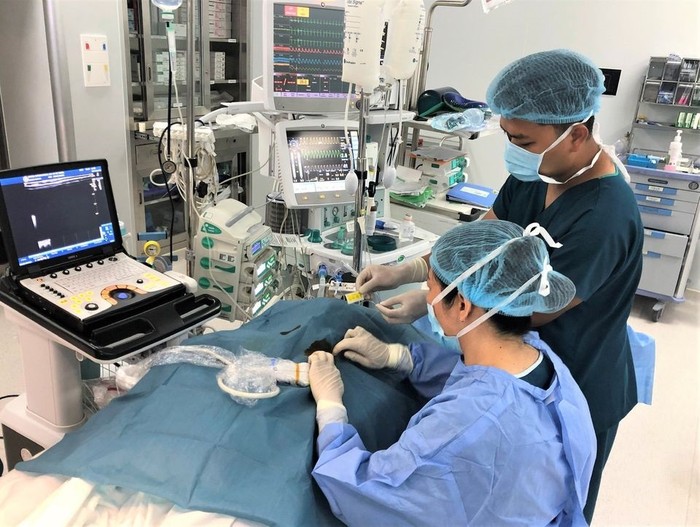 Vinmec là bệnh viện đầu tiên trên thế giới áp dụng và nghiên cứu về hiệu quả của kỹ thuật gây tê mặt phẳng cơ dựng sống kiểm soát các cơn đau do mổ tim.