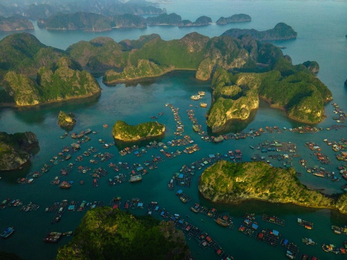 Vịnh Lan Hạ gồm 400 đảo lớn nhỏ được bao phủ màu xanh của cây cối và các thảm thực vật đa dạng. Ảnh: Ngô Trần Hải An