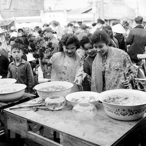 Chợ hoa còn có khu vực bán cá vàng để phục vụ người dân trong dịp Tết. (Ảnh: TTXVN)
