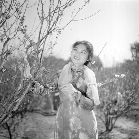 Cô gái Hà Nội tại làng hoa Nhật Tân, năm 1963. (Ảnh: TTXVN)