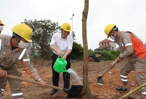 Ông Lê Văn Trang – Phó tổng Giám đốc tham gia trồng cây cùng cán bộ công nhân viên PC Vĩnh Phúc
