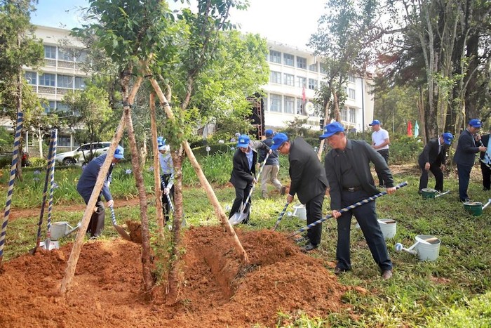 Novaland chung tay cùng Lâm Đồng thực hiện mục tiêu trồng 50 triệu cây xanh