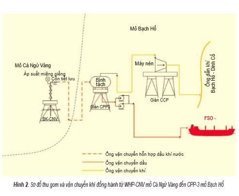 Sơ đồ thu gom và vận chuyển khí đồng hành từ WHP-CNV mỏ Cá Ngừ Vàng đến CPP-3 mỏ Bạch Hổ