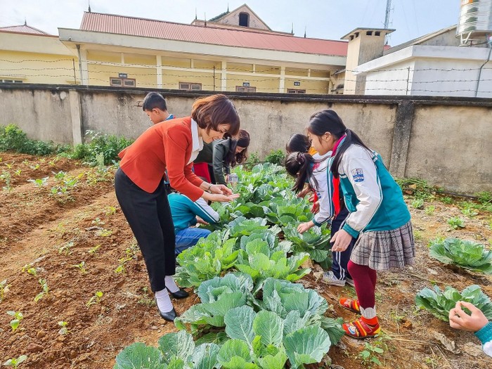 Học sinh Trường tiểu học Tô Múa (Vân Hồ, Sơn La) học kiến thức dinh dưỡng một cách trực quan, sống động.