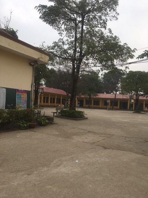 Trường Tiểu học Đắc Sơn II (thị xã Phổ Yên, tỉnh Thái Nguyên. (Ảnh: http://thdacson2.phoyen.edu.vn/)