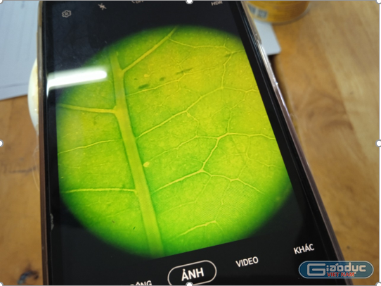 Sản phẩm STEM sau tiết học Chế tạo kính hiển vi từ điện thoại thông minh. (Ảnh: CTV)