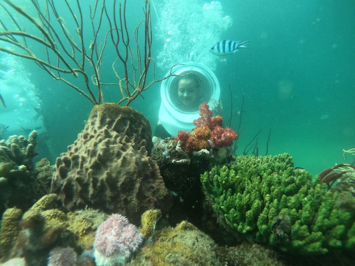 Lặn biển ngắm san hô tại Hòn Thơm
