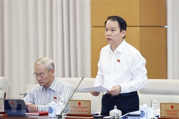 Chủ nhiệm Ủy ban Pháp luật của Quốc hội Hoàng Thanh Tùng, đại diện Đoàn giám sát chuyên đề trình bày báo cáo. (Ảnh: Doãn Tấn/TTXVN)