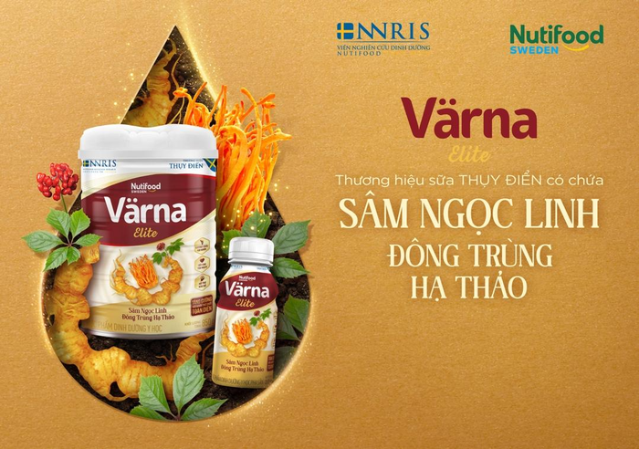 Sữa Värna Elite được ví như món quà cao cấp và bổ dưỡng cho một sức khỏe vàng với thành phần chắt lọc tinh hoa từ “quốc bảo” Việt Nam Sâm Ngọc Linh và Đông Trùng Hạ Thảo.