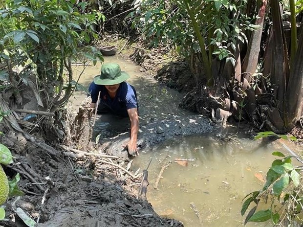 Người dân xã Tiên Long, huyện Châu Thành (Bến Tre) trữ nước ngọt tưới cho cây trồng. (Ảnh: TTXVN phát)