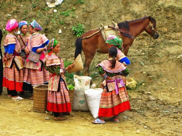 Ngắm những cô gái dân tộc Mông đang trên đường xuống chợ