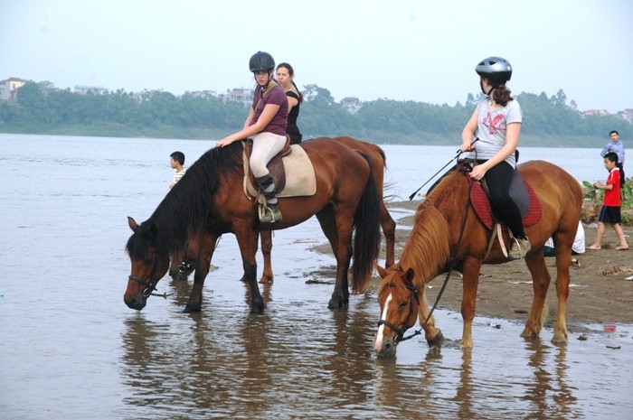 Du khách nước ngoài thích thú với những chú ngựa vừa thuê được tại bãi đá sông Hồng
