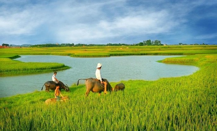 Bạn có muốn tìm hiểu về đời sống đồng quê Việt Nam? Hãy xem ngay hình ảnh đồng quê tuyệt đẹp mà chúng tôi chia sẻ. Bạn sẽ được đắm mình trong cảnh quan thiên nhiên hùng vĩ, ngắm nhìn những bức tranh về cuộc sống chân thật của người dân đồng quê. Hãy khám phá vẻ đẹp riêng của đồng quê Việt Nam ngay bây giờ.