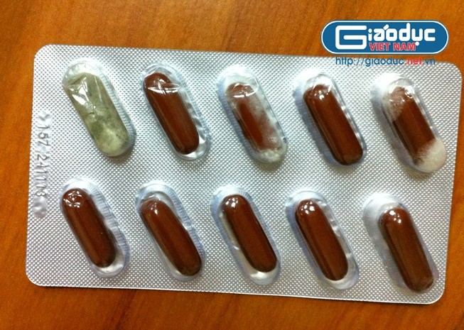 Nhiều viên thuốc trong vỉ của Boganic bị mốc rêu trong khi HSD đến tận tháng 11/2013.