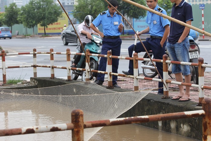 Tại khu đô thị Nam Trung Yên, nhiều người dân cũng đang bắt cá bằng vó dưới kênh