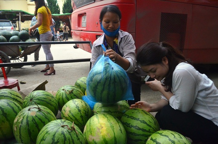 Có quả dưa nặng gần 10kg nhưng cũng chỉ được bán với giá trên 10 nghìn đồng tại Tân Thanh, Lạng Sơn