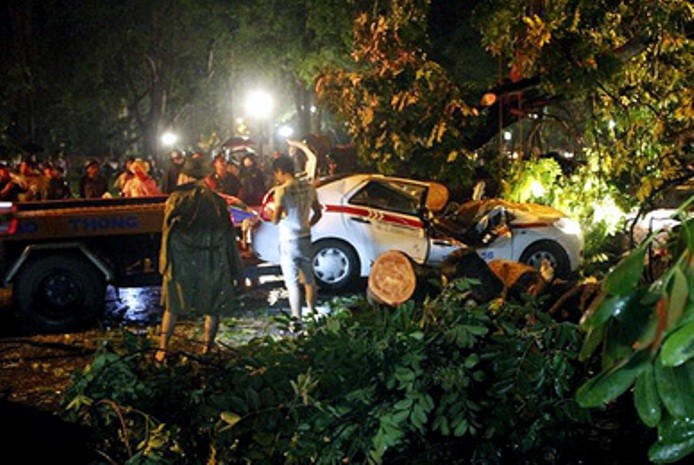Một tài xế taxi đã tử vong do cây cổ thụ bật gốc đè vào chiếc xe đang chạy