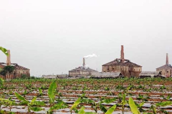 Nhiều người dân ở xã Văn Khê, huyện Mê Linh phản ánh nhà máy gạch Phú Hà gây ô nhiễm môi trường, đốt cháy hoa màu xung quanh.