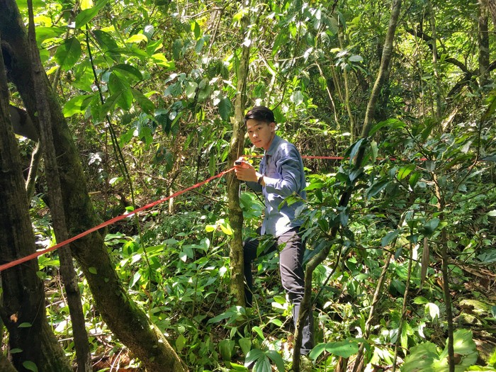 Phan Quốc Dũng tiến hành lập ô tiêu chuẩn để điều tra và khảo sát rừng. Ảnh: Nhân vật cung cấp
