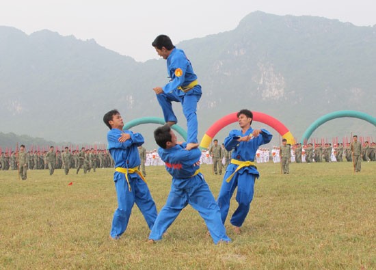 Biểu diễn võ thuật của đoàn thể thao Quân đội