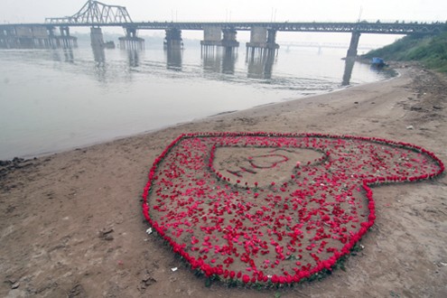 Trái tim khủng bằng hoa hồng có thể nhìn thấy từ cầu Long Biên