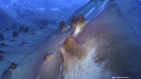 Hồ Untersee đóng băng ở phía đông Nam Cực hiện diện rất nhiều ụ stromatolites, những vi khuẩn thuộc hàng sinh vật gạo cội nhất của Trái đất. Chúng có thể có tuổi đời lên tới hàng ngàn năm. Nói cách khác, những ụ này giống như mô hình hóa thạch của sự sống nguyên thủy trên hành tinh xanh.