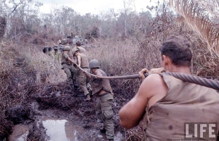 Trung đoàn Kỵ binh bọc thép số 11 của Lục quân Mỹ. ẢNH: Lính mỹ kéo dây cáp để xe thiết giáp kéo nhau qua vũng lầy