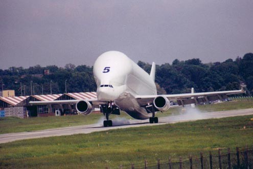 Được đặt biệt danh là Siêu Vận chuyển, chiếc Beluga dài hơn 184 feet (56m) và có thể chở hàng với khối lượng 47 tấn, đi trên quãng đường 900 hải lý. Ra mắt lần đầu năm 1995, Beluga được Airbus thiết kế nhằm phục vụ nhu cầu sản xuất của chính họ.