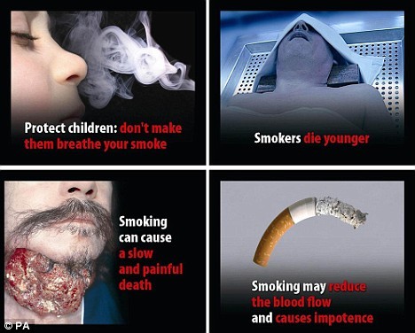 Mối liên quan giữa việc hút thuốc lá và ung thư phổi đã được biết từ rất lâu, 90% người ung thư phổi bị chết đều có hút thuốc lá. Những cơ quan khác cũng bị ung thư do thuốc lá là miệng, hầu, họng, thanh quản, môi, bàng quang…