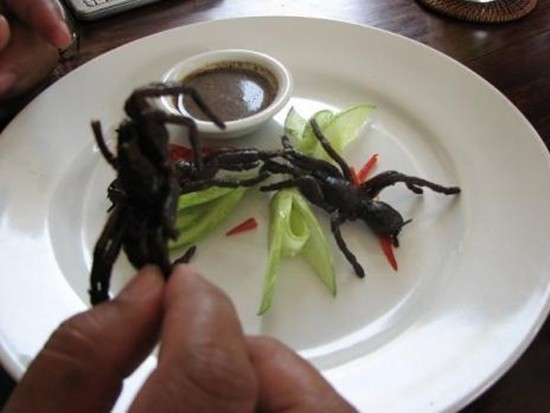 Nhện rán: Đây là một món ăn khá phổ biến tại nhiều vùng của nước láng giềng Campuchia. Từ thời Khmer Đỏ, do nạn đói kém hoành hành, người dân ở đây đã phải tìm nhện từ các hố nhỏ trên mặt đất đem về rán lên để thành thức ăn.