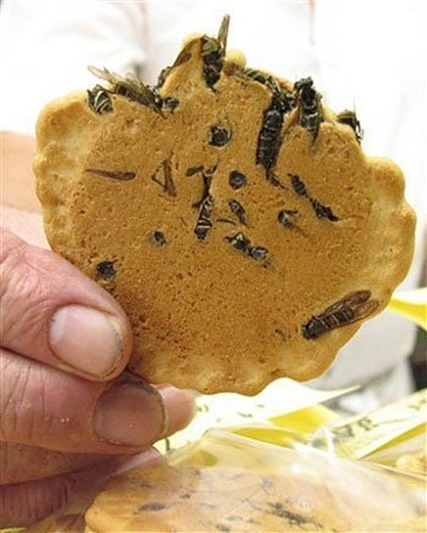 Ong bắp cày: Đây là món ăn rất phổ biến ở Nhật bản, loài ong này được ăn cùng với bánh quy. Đây cũng là món ăn nổi tiếng của người dân vùng Omachi (Nhật Bản).