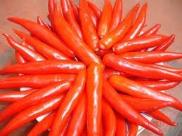 9. Ăn nhiều thực phẩm chua cay: Các thực phẩm cay nóng khi ăn quá nhiều có thể gây tổn thương nghiêm trọng cho các lớp niêm mạc dạ dày, từ đó có thể dẫn tới hiện tượng bỏng hoặc xuất huyết dạ dày.