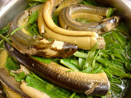 Lươn um rau ngổ: Đây là món ăn vùng quê rất phổ biến do thực phẩm có sẵn và cách làm đơn giản. Đây không chỉ là món ngon mà còn có rất nhiều lợi ích cho sức khỏe đặc biệt là thịt lươn. Xem thêm: Những món cháo ngon/ Những món ăn từ côn trùng