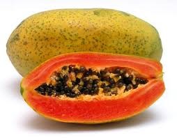 Đu đủ ngoài hương vị thơm ngon, còn chứa rất nhiều men tiêu hóa papain có lợi cho đường ruột và tiêu hóa.