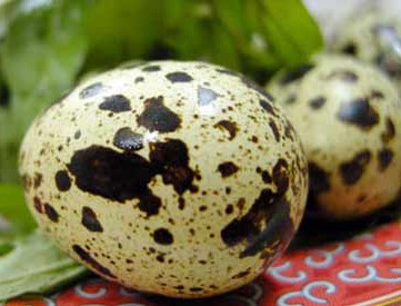 Trứng chim cút: Các nhà khoa học Bungari cho rằng, hàm lượng phốt - pho trong trứng còn cho hiệu quả cao hơn cả thuốc viagra. Ngoài ra trong trứng chim cút có nhiều các chất như vitaminA, B1, B2, và tyrosine có khả năng dưỡng chất cho da và tăng cường sức mạnh cho nam giới.