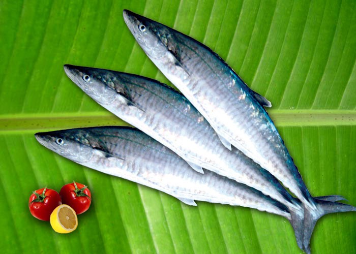 Cá thu: Cá thu là một loại cá nhỏ khác rất có ích. Giàu omega-3 (gấp hai cá hồi) và selen, cá thu tốt cho hệ thống miễn dịch. Selen hoạt động cùng các protein trong cơ thể để tạo thành các enzym chống oxy hóa và bảo vệ bạn chống lại những ảnh hưởng của ngộ độc thủy ngân.