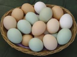 Trứng là 1 trong những thực phẩm có chất dinh dưỡng hoàn thiện nhất, Trứng cũng là nguồn cung cấp vitamin và chất khoáng rất tốt. Các chất khoáng như sắt, kẽm, đồng, mangan, iod... tập trung hầu hết trong lòng đỏ. Lòng đỏ trứng có cả các vitamin tan trong nước (B1, B6) và vitamin tan trong dầu (Vitamin A, D, K). (Ảnh: IN) Xem thêm: Những "thực phẩm vàng" giúp chị em tươi trẻ, phòng ngừa bệnh phụ nữ/ Dứa: ngon, rẻ, giàu vitamin C, chất xơ...tốt cho bé và cả ông bà