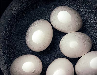 Dấm trứng gà chỉ nên dùng từ 5 đến 7 ngày là tốt nhất