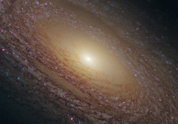 Hình ảnh gần gũi của dải thiên hà xoắn ốc NGC 2841.Một đỉnh sáng đánh dấu điểm trung tâm dải thiên hà. Bên ngoài vòng xoắn ốc là những làn bụi và những ngôi sao trẻ màu xanh bám theo từng vòng xoắn.