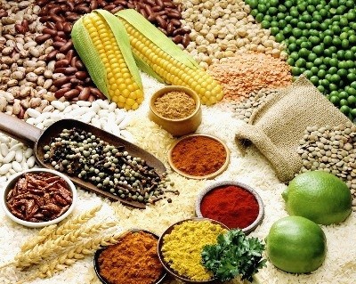 Ngũ cốc: Ngũ cốc có khả năng phòng chống loãng xương bởi trong nó có hàm lượng protein từ 8-14% và đạm thực vật giúp tăng cường mật độ xương.