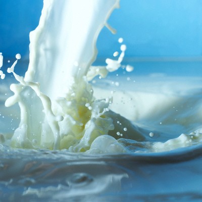 Sai lầm 3: Chất béo trong sữa càng thấp càng tốt. Rất nhiều người lo lắng uống sữa sẽ béo, vì vậy họ lựa chọn sữa không đường. Thực tế, chất béo trong sữa không thể trực tiếp chuyển hóa thành chất béo trong cơ thể. Hơn nữa, tỉ lệ chất béo có trong sữa tự nhiên không cao như mọi người vẫn nghĩ. Vậy nên, những ai cho rằng uống nhiều sữa sẽ béo là một quan điểm sai lầm.